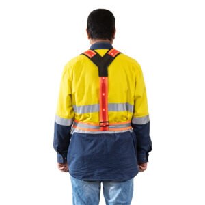 Roobuck shoulder brace RLB2CYR back